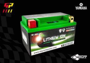 Immagine per la categoria Batterie a Litio