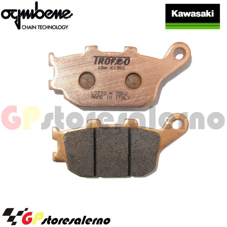 Immagine di 43024401 PASTIGLIE POSTERIORI SINTERIZZATE OGNIBENE KAWASAKI 900 Z Z900 RS DAL 2018 AL 2024